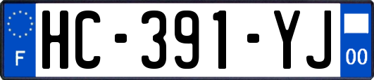 HC-391-YJ