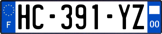 HC-391-YZ
