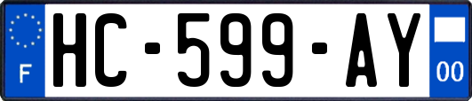 HC-599-AY