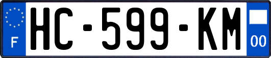 HC-599-KM