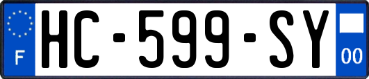 HC-599-SY