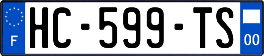 HC-599-TS