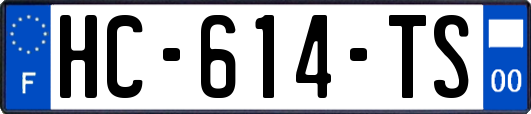 HC-614-TS