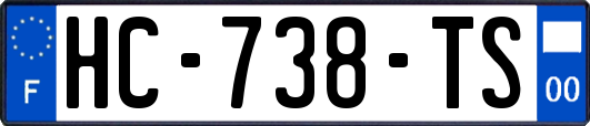 HC-738-TS