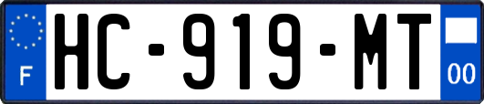 HC-919-MT