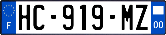 HC-919-MZ
