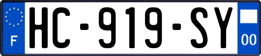 HC-919-SY