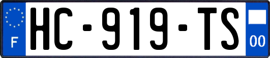 HC-919-TS