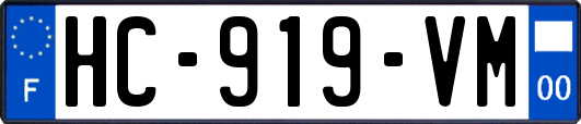HC-919-VM