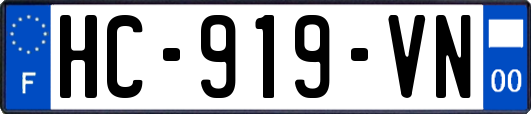 HC-919-VN