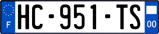 HC-951-TS