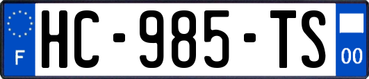 HC-985-TS