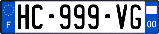 HC-999-VG