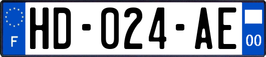 HD-024-AE