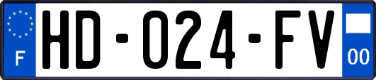 HD-024-FV