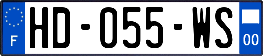 HD-055-WS