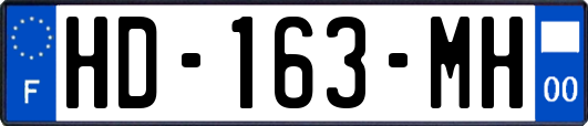 HD-163-MH