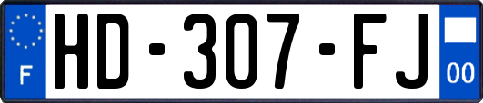 HD-307-FJ
