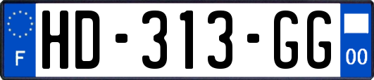HD-313-GG