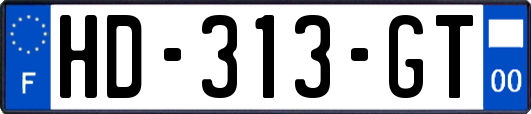 HD-313-GT