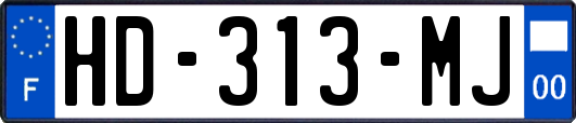 HD-313-MJ