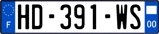 HD-391-WS