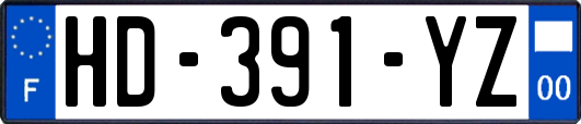 HD-391-YZ