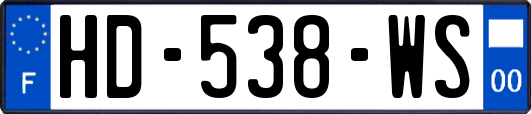 HD-538-WS