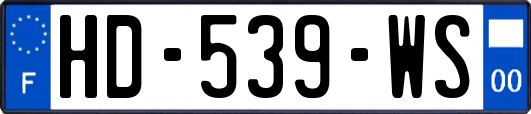HD-539-WS
