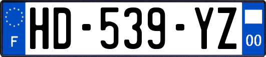 HD-539-YZ