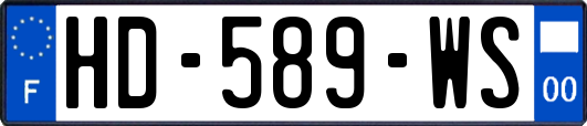 HD-589-WS