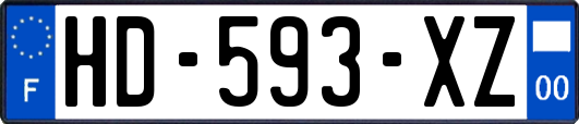 HD-593-XZ