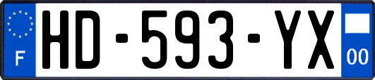 HD-593-YX