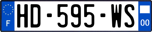 HD-595-WS
