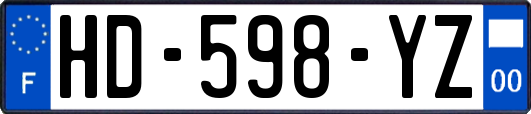 HD-598-YZ