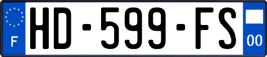 HD-599-FS