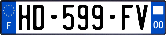 HD-599-FV