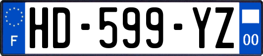 HD-599-YZ
