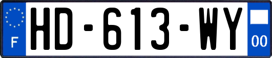 HD-613-WY