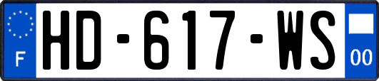 HD-617-WS