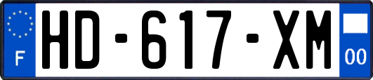 HD-617-XM