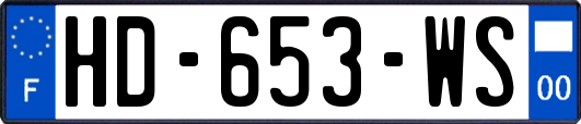 HD-653-WS