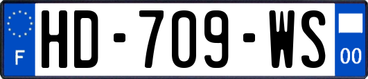 HD-709-WS