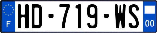 HD-719-WS