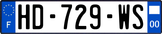 HD-729-WS