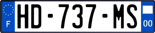 HD-737-MS