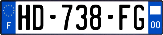 HD-738-FG
