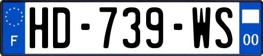 HD-739-WS