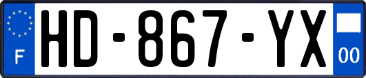 HD-867-YX