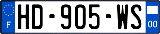 HD-905-WS